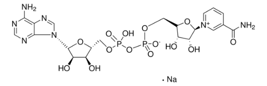 图片 β-烟酰胺腺嘌呤二核苷酸钠盐，β-Nicotinamide adenine dinucleotide sodium salt [β-NAD, β-DPN, DPN]；≥95% (HPLC)