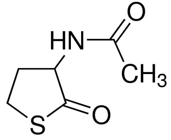 图片 DL-N-乙酰高半胱氨酸硫内酯，DL-N-Acetylhomocysteine thiolactone；98%