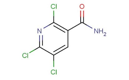 图片 2,5,6-三氯吡啶-3-酰胺，2,5,6-Trichloronicotinamide；≥99%