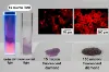 图片 荧光微米金刚石，Fluorescent Microdiamond；~1 micron particles with SiV centers 2.5 mg , 5 mg/ml in DI water