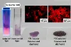 图片 羧化红色荧光微米金刚石，Fluorescent Microdiamond；1 micron Carboxylated Red Fluorescence, 1 mg/mL in DI Water, ~3.5 ppm NV