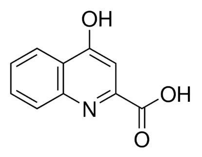 图片 犬尿喹啉酸，Kynurenic acid；≥98%