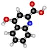 图片 犬尿喹啉酸，Kynurenic acid；≥98%