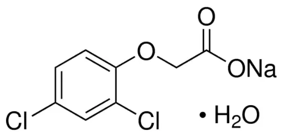 图片 (2,4-二氯苯氧基)乙酸钠盐一水合物，(2,4-Dichlorophenoxy)acetic acid sodium salt monohydrate；suitable for plant cell culture, BioReagent, ≥98%