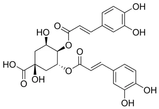 图片 3,4-二-O-咖啡酰奎宁酸，3,4-Di-O-caffeoylquinic acid [3,4-COQ]；phyproof® Reference Substance, ≥95.0% (HPLC)