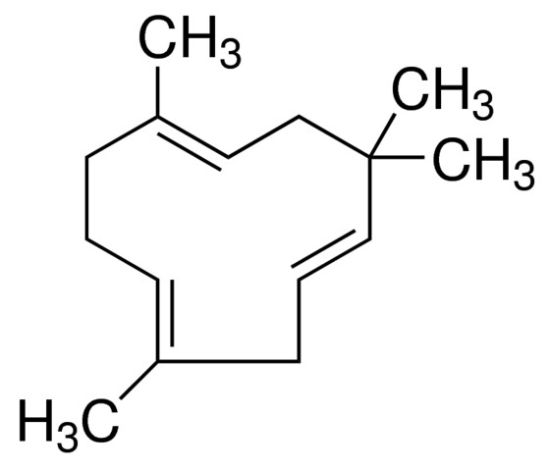 图片 α-葎草烯，α-Humulene