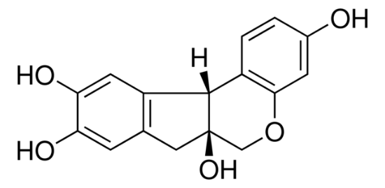 图片 巴西木素，Brazilin；phyproof® Reference Substance, ≥98.0% (HPLC)