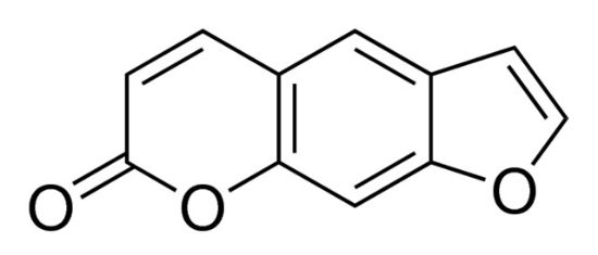 图片 补骨脂素，Psoralen；≥99% (HPLC)