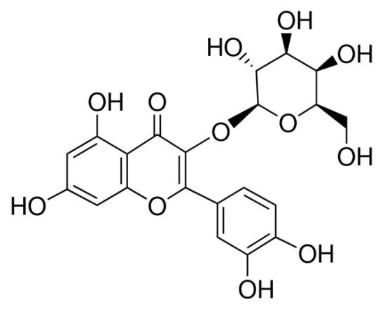 图片 金丝桃苷，Hyperoside；≥97.0% (HPLC)