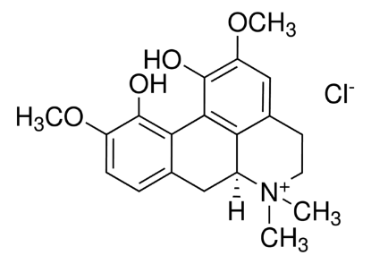 图片 氯化木兰花碱，Magnoflorine chloride；phyproof® Reference Substance, ≥95.0% (HPLC)