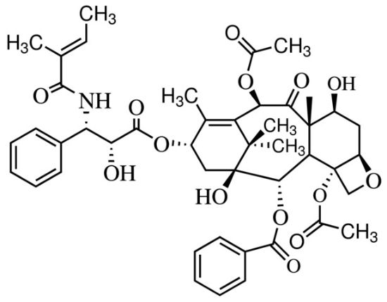 图片 头孢甘氨酸 [三尖杉宁碱]，Cephalomannine；≥97% (HPLC), solid