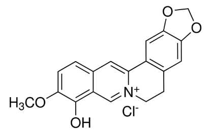 图片 小檗红碱，Berberrubine chloride；phyproof® Reference Substance, ≥90.0% (HPLC)