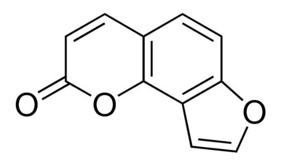 图片 异佛手柑内酯 [异补骨脂素]，Angelicin；≥98.0%