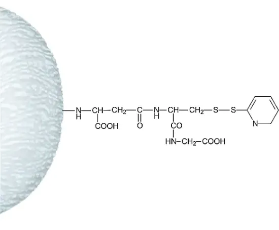 图片 Activated Thiol–Sepharose® 4B；lyophilized powder
