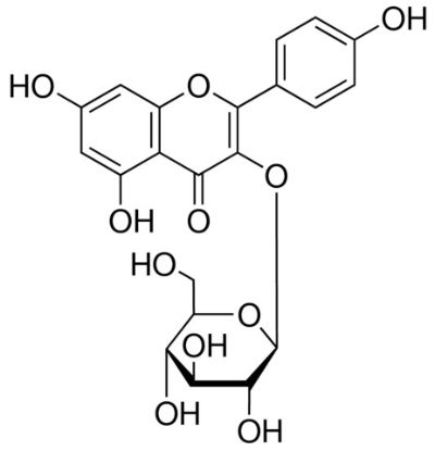 图片 山柰酚-3-葡萄糖苷 [紫云英苷]，Kaempferol 3-glucoside；analytical standard, ≥90.0% (HPLC)
