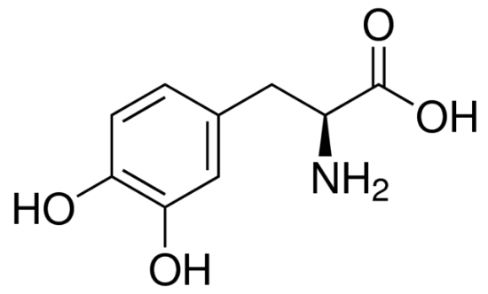 图片 左旋多巴，3,4-Dihydroxy-L-phenylalanine [L-DOPA]；Pharmaceutical Secondary Standard; Certified Reference Material
