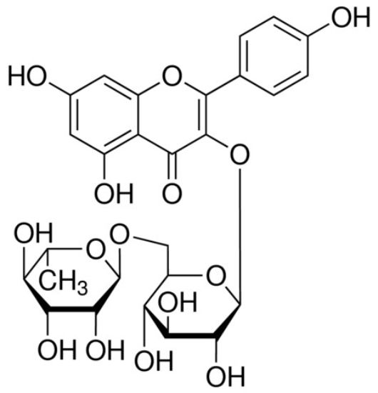 图片 山奈酚 3-O-β-芸香苷，Kaempferol 3-rutinoside；≥98.0% (HPLC)