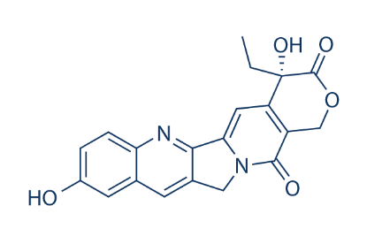 图片 (S)-10-羟基喜树碱，(S)-10-Hydroxycamptothecin；≥99%