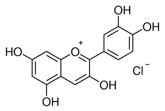 图片 氯化矢车菊素 [氯化氰定]，Cyanidin chloride；≥95% (HPLC)
