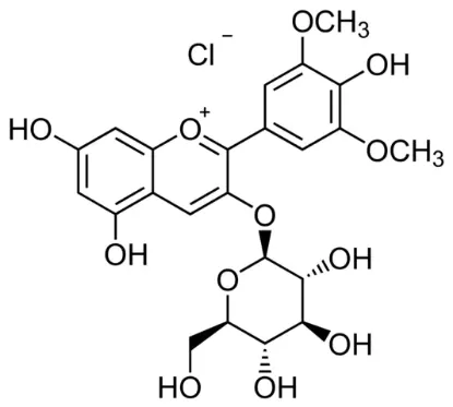 图片 氯化锦葵色素3-葡萄糖苷 [氯化茴香酚]，Oenin chloride；≥90% (HPLC)