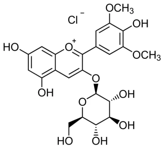 图片 氯化锦葵色素3-葡萄糖苷 [氯化茴香酚]，Oenin chloride；≥90% (HPLC)
