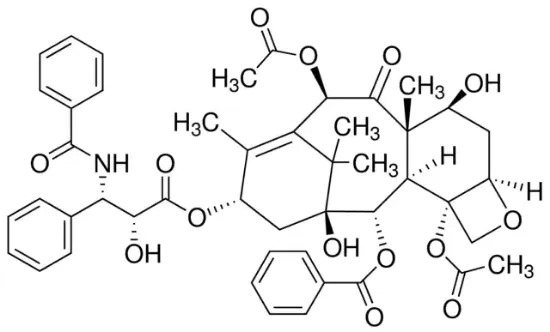 图片 紫杉醇，Paclitaxel；from semisynthetic, ≥97%