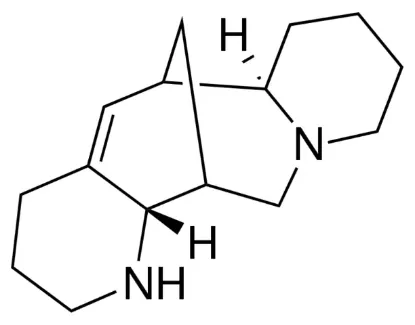 图片 苦豆碱，Aloperine；≥98% (HPLC)