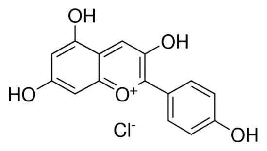 图片 氯化花葵素 [天竺葵素]，Pelargonidin chloride；≥97% (HPLC)