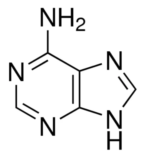 图片 腺嘌呤，Adenine；BioReagent, suitable for plant cell culture, ≥99%