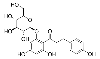 图片 根皮苷，Phloridzin；phyproof® Reference Substance, ≥98.0% (HPLC)