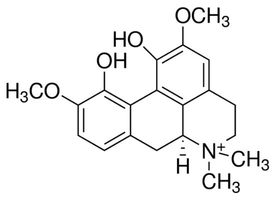 图片 木兰花碱，Magnoflorine；≥98% (HPLC)