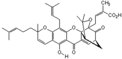 图片 藤黄酸，Gambogic acid；≥95% (TLC)