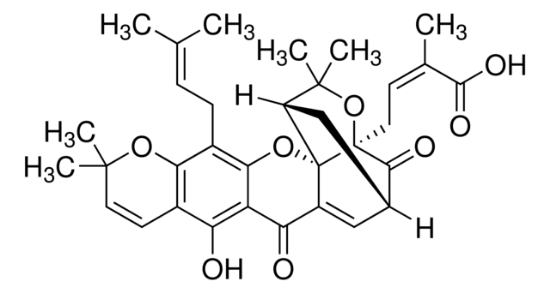 图片 藤黄酸B，Morellic acid；phyproof® Reference Substance, ≥95.0% (HPLC)