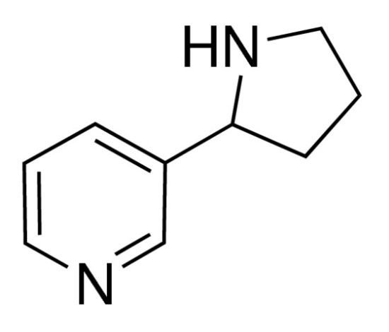 图片 (±)-原烟碱 [3-(2-吡咯烷基)吡啶]，(±)-Nornicotine；≥98% (TLC), liquid