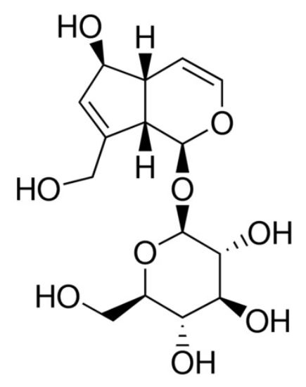 图片 桃叶珊瑚苷，Aucubin；analytical standard, ≥98.0% (HPLC)