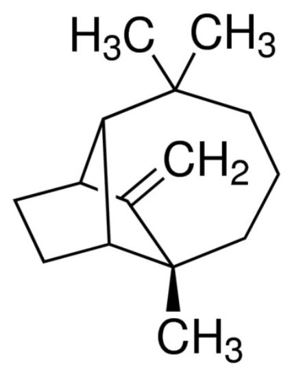 图片 (+)-长叶烯，(+)-Longifolene；phyproof® Reference Substance, ≥75.0% (GC)