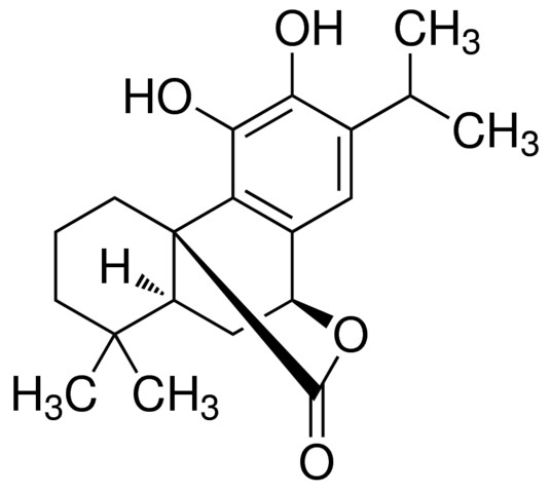 图片 鼠尾草酚，Carnosol；analytical standard, ≥98.0% (HPLC)