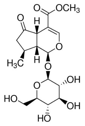 图片 马鞭草苷，Verbenalin；phyproof® Reference Substance, ≥95.0% (HPLC)