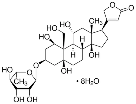 图片 乌本苷八水合物 [哇巴因]，Ouabain；Pharmaceutical Secondary Standard; Certified Reference Material