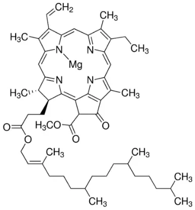 图片 叶绿素a，Chlorophyll a；from spinach, ≥85% (HPLC)