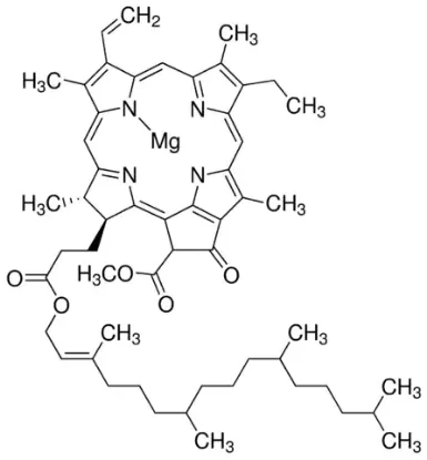 图片 叶绿素a，Chlorophyll a；from Anacystis nidulans algae