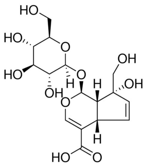 图片 水晶兰苷，Monotropein；≥98% (HPLC)