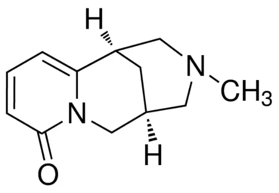 图片 N-甲基金雀花碱，N-Methylcytisine；≥98% (HPLC)