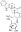 图片 喜果苷，Vincosamide；≥90% (LC/MS-ELSD)