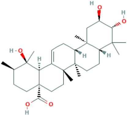 图片 委陵菜酸，Tormentic Acid