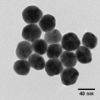 图片 银分散液，Silver, dispersion；nanoparticles, 40 nm particle size (TEM), 0.02 mg/mL in aqueous buffer, contains sodium citrate as stabilizer