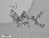 图片 石墨化碳，Carbon, mesoporous；nanopowder, graphitized, <500 nm particle size (DLS), >99.95% trace metals basis