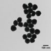 图片 银分散液，Silver, dispersion；nanoparticles, 100 nm particle size (TEM), 0.02 mg/mL in aqueous buffer, contains sodium citrate as stabilizer