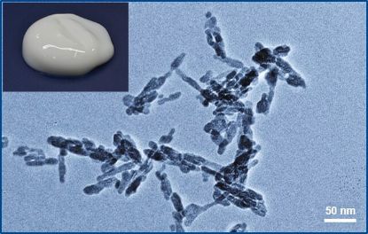 图片 羟基磷灰石 [碱式磷酸钙, 水浆料]，Hydroxyapatite；aqueous paste, <50 nm, 30 wt. %