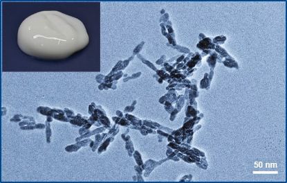 图片 羟基磷灰石 [碱式磷酸钙, 水浆料]，Hydroxyapatite；aqueous paste, <50 nm, 15 wt. %